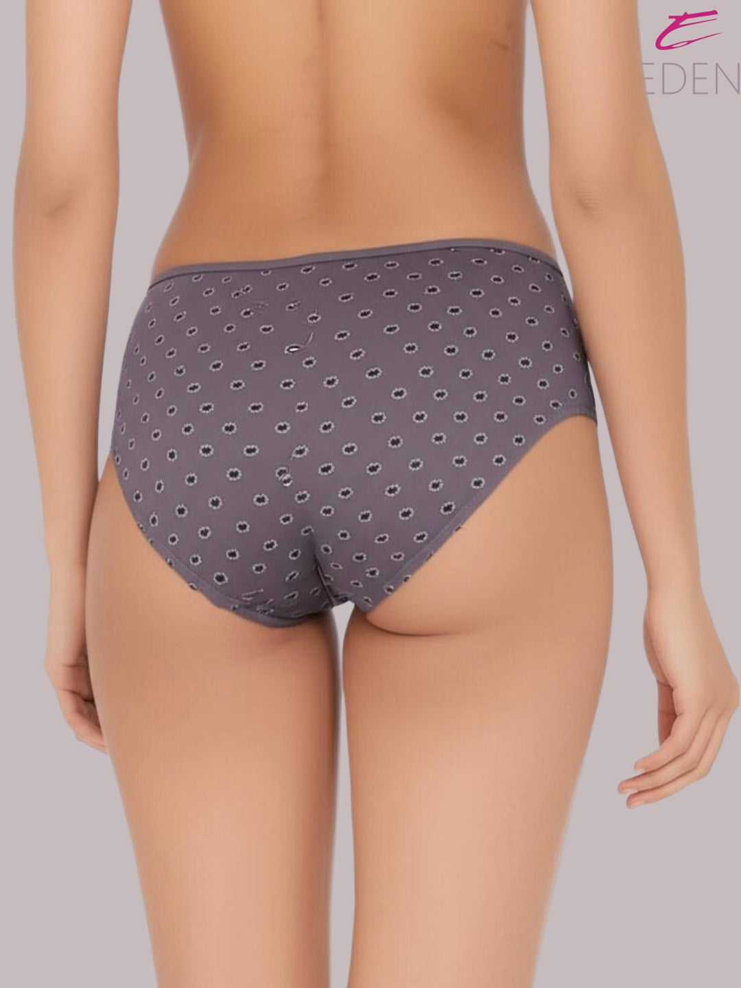 Eden High Rise ,Full Coverage Hipster, Panty,Brown