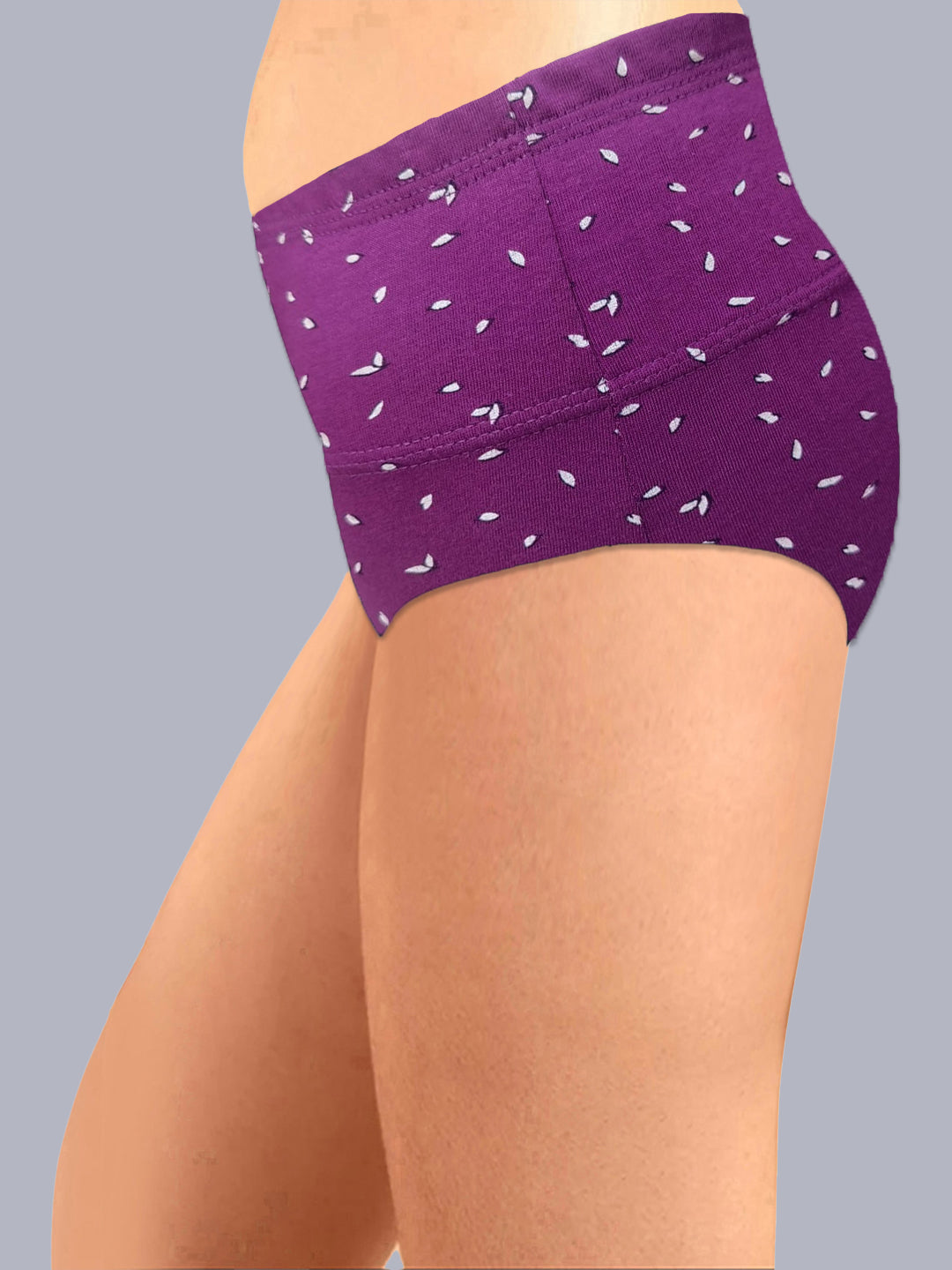 Eden High Rise Full Coverage Hipster Panty (Pack of 3) -Multicolor