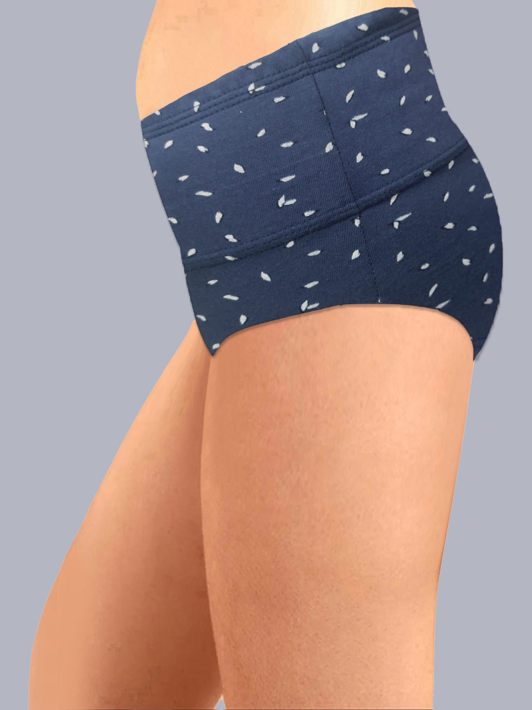 Eden High Rise Full Coverage Hipster Panty (Pack of 3) -Multicolor