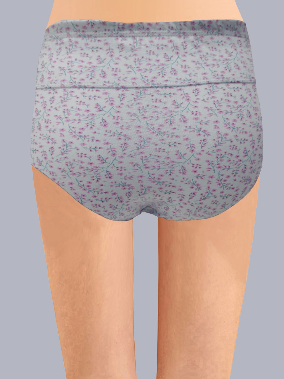 Eden High Rise Full Coverage Hipster Panty (Pack of 3) -Multicolor