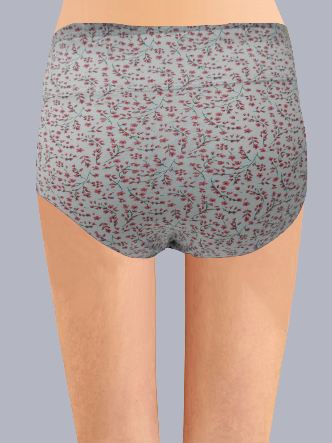 Eden High Rise Full Coverage Hipster Panty (Pack of 3) -Multicolor