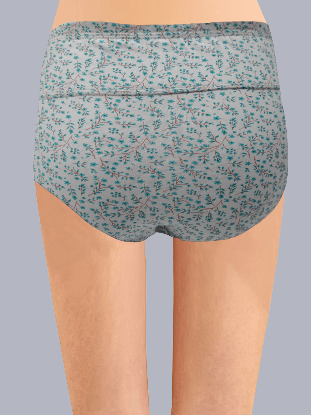 Eden High Rise Full Coverage Hipster Panty (Pack of 3) -Multicolor