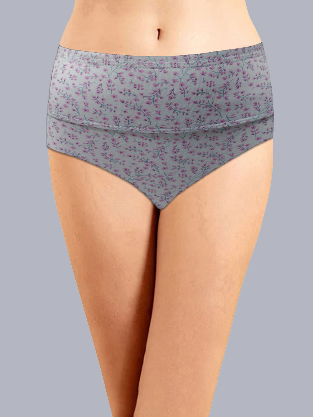 Eden High Rise Full Coverage Hipster Panty (Pack of 1) -ice Blue print