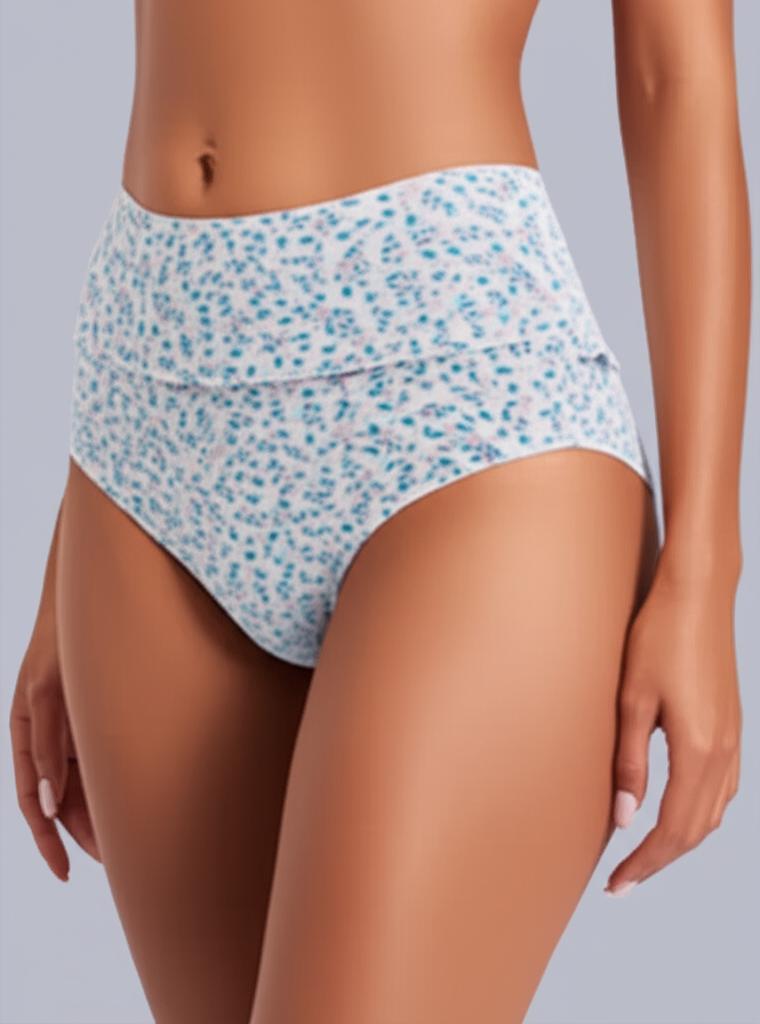Eden High Rise Full Coverage Hipster Panty (Pack of 1) -peach