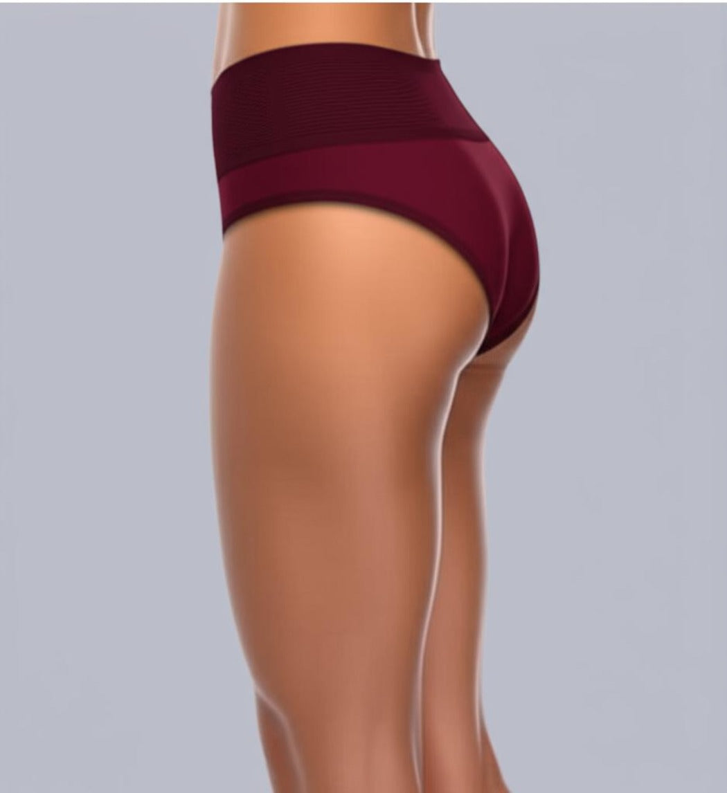 Eden High Rise Full Coverage Maroon Color Hipster Panty (Pack of 1)