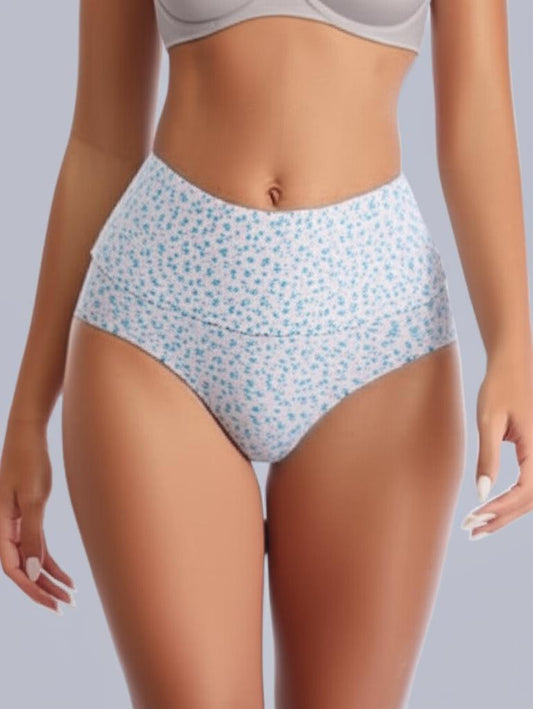 Eden High Rise Full Coverage Hipster Panty (Pack of 1) -Light Green