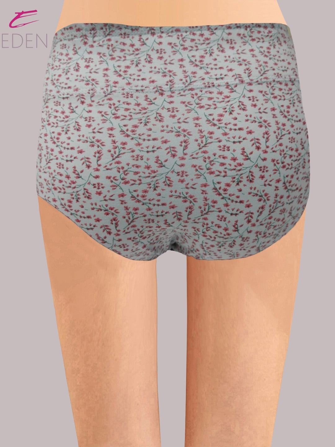 Eden High Rise ,Full Coverage Hipster, Panty,inner Elastic,Grey With Red Print
