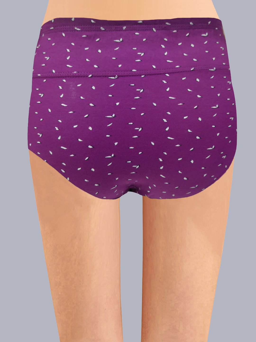 Eden High Rise Full Coverage Hipster Panty (Pack of 3) -Multicolor